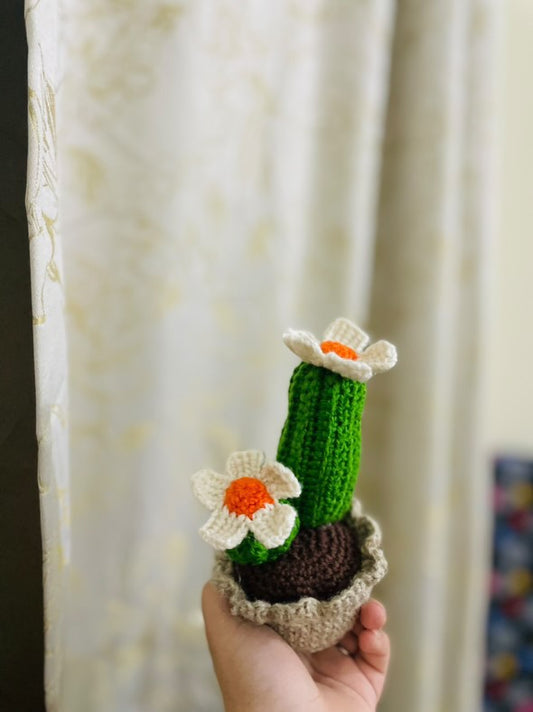 Sunny Stitches & Cactus Blooms